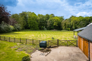 Paddock- click for photo gallery